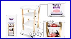 4 Layers Trolley Cart Stand Ultrasonic Beauty SPA Machine Trolley Stand Storage