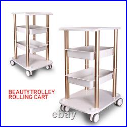 Beauty Salon Trolley Cart Ultrasonic Cavitation RF Machines Rolling Cart Stand