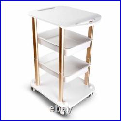 Salon Trolley Cart Stand Assemble For Ultrasonic Cavitation RF Beauty Machine US